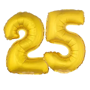 25 Jaar TNS Nederland